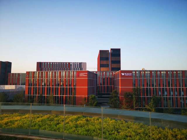 博山硅胶模具来样订做